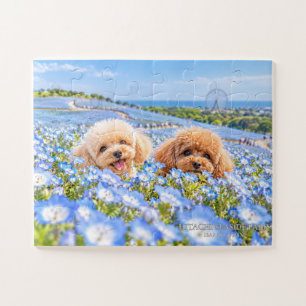 Dementia Puzzle, 30 Pieces, Toy Poodles Jigsaw Puzzle