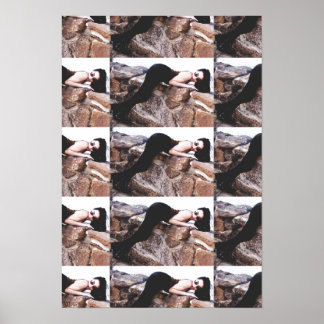 Demi Lowe Dans Colorado Poster 2