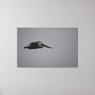 Demi-Lune Baie Frise Pelican III - Toile Enveloppé