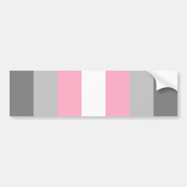 Demigirl Pride Bumper Sticker (Front)
