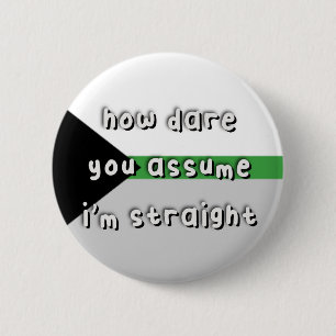 Demiromantic Pride - “How Dare You Assume” - LGBT 2 Inch Round Button