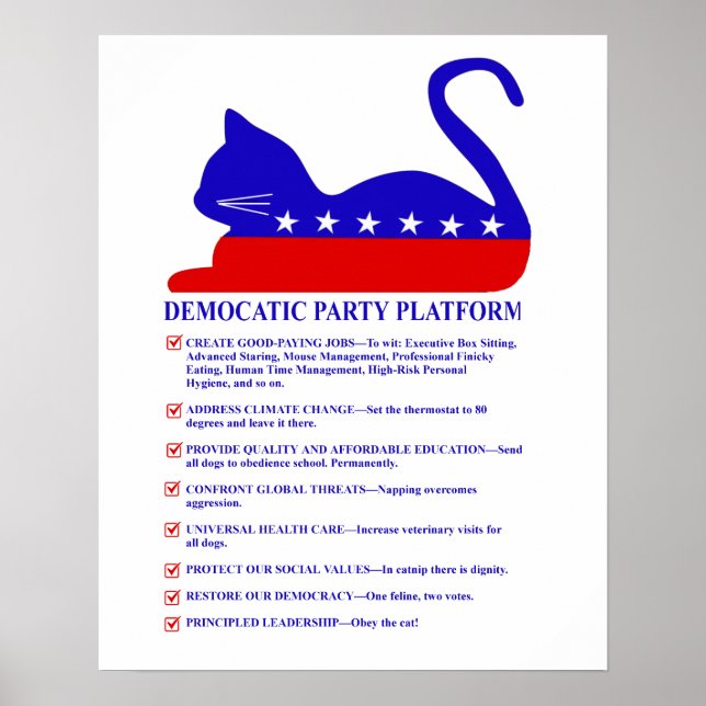 Democatic Party Platform Funny Political Cat Poster (Front)