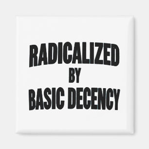Democracy Social Radicalized By Basic Decency   Magnet