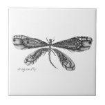 'Demoiselle'  is a dragonfly Tile<br><div class="desc">This dragonfly was hand drawn in ink and pencil and looks great on many products. You can edit the color and style to suit your own taste.</div>