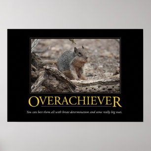 Demotivational Poster: Overachiever Poster