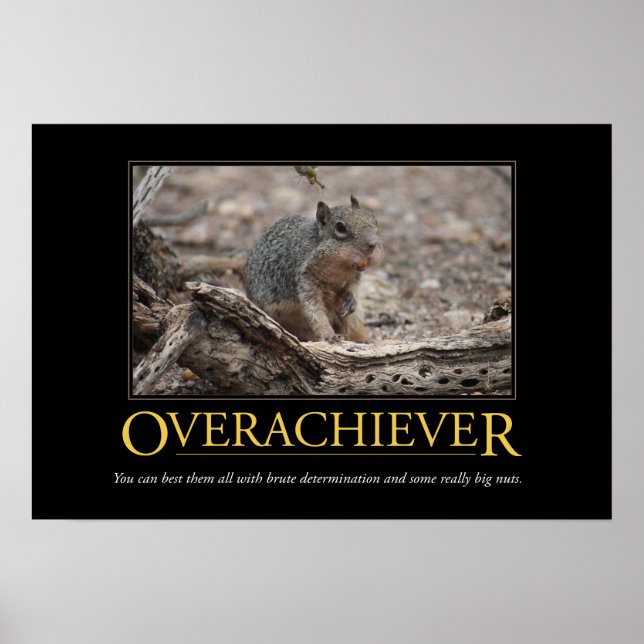 Demotivational Poster: Overachiever Poster (Front)