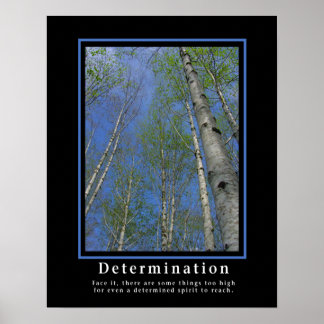 Demotivational Posters ... Determination