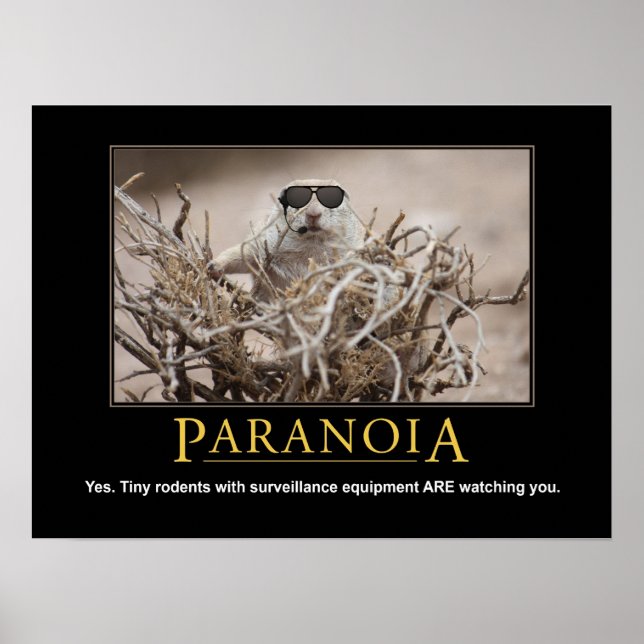 Demotivational Squirrel Poster: Paranoia Poster (Front)