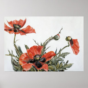 Demuth's Red Poppies Poster