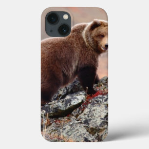 Denali Brown Bear iPhone 13 Case