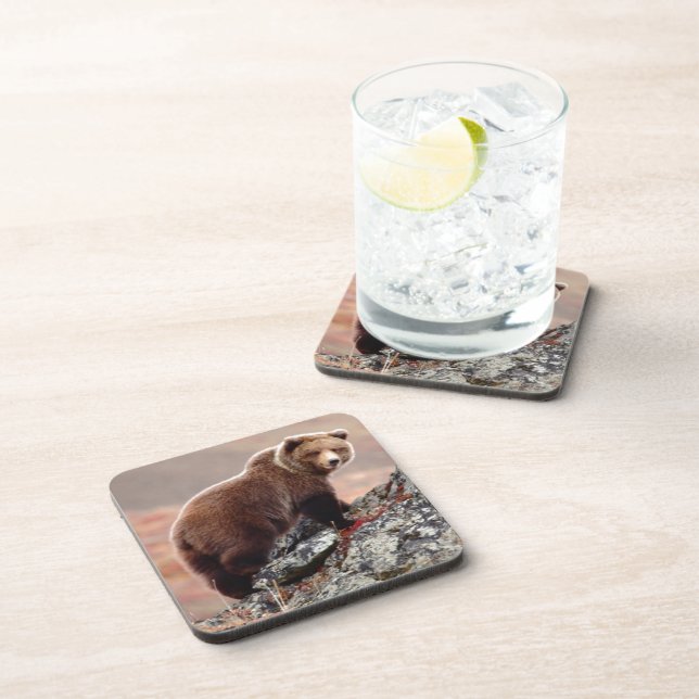 Denali Brown Bear Coaster (Right Side)
