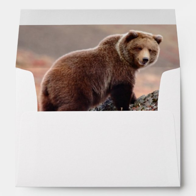 Denali Brown Bear Envelope (Back (Bottom))