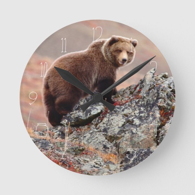 Denali Brown Bear Round Clock (Front)