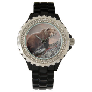 Denali Brown Bear Watch