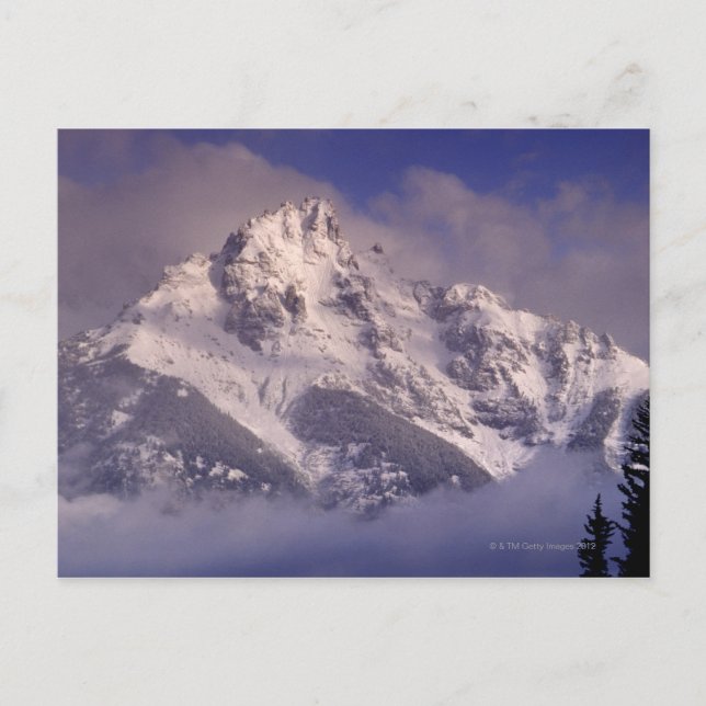 Denali mountain range, Alaska Postcard (Front)