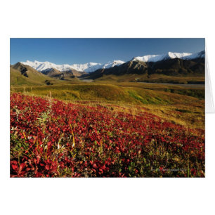 Denali National Park