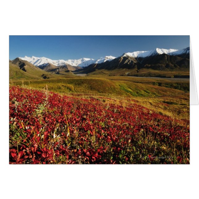Denali National Park (Front Horizontal)