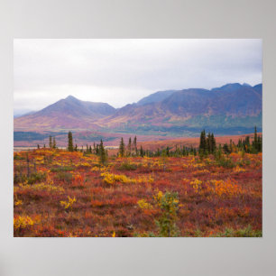 Denali National Park, Alaska In Scenic Autumn Poster