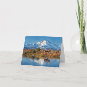 Denali National Park Alaska Watercolor Card