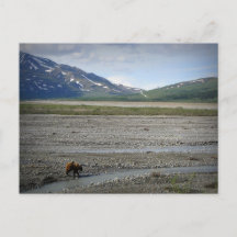 Denali National Park and Preserve, Alaska