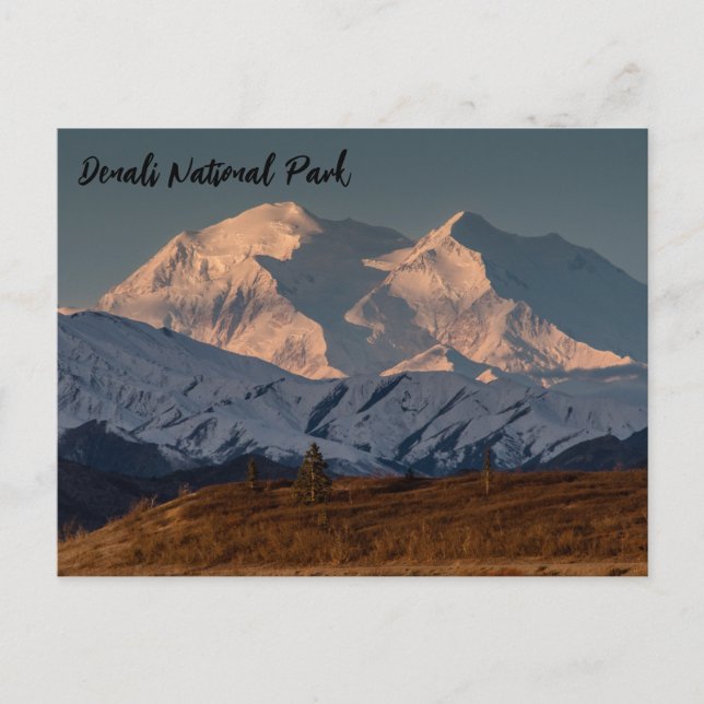 Denali National Park Sunrise Postcard (Front)