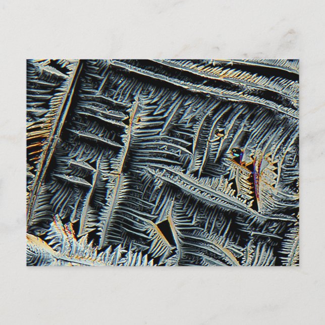 Dendritic crystals under the microscope postcard (Front)