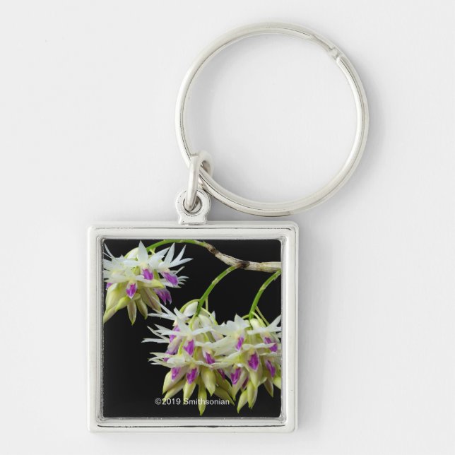 Dendrobium Amethystoglossum Keychain (Front)