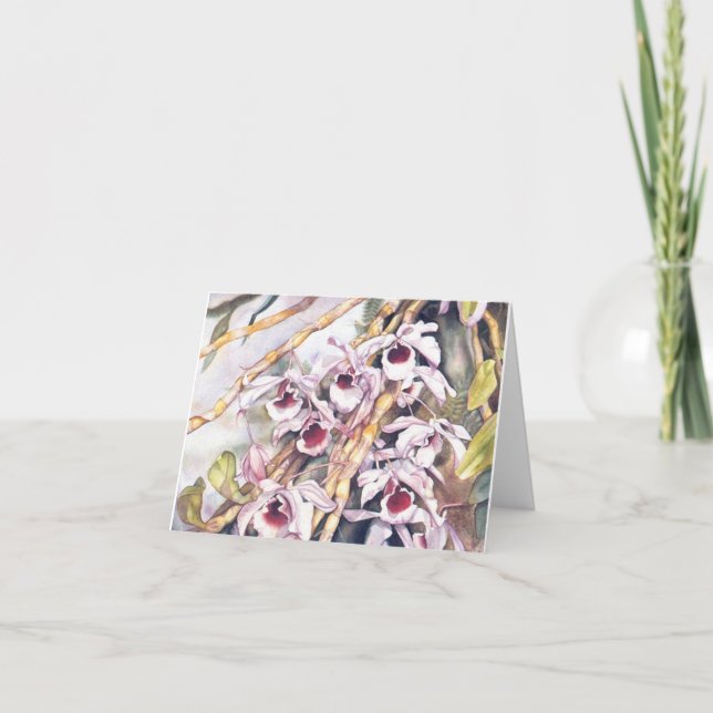 Dendrobiums Note card 2.95 (Front)