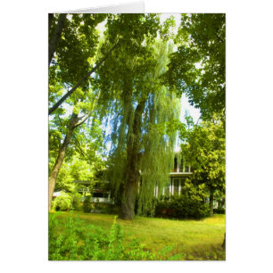 D'endroit un mystère au-delà - presque dans la