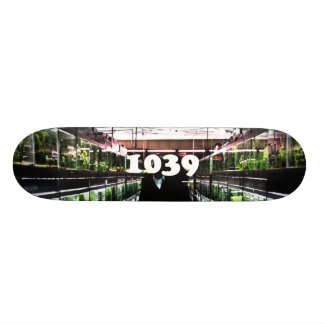 deng deng skateboard