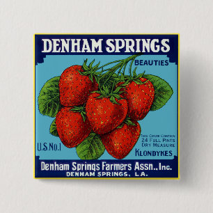 Denham Springs Beauties Strawberries 2 Inch Square Button
