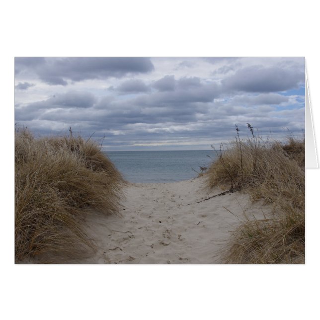 Deniseport beach (Front Horizontal)