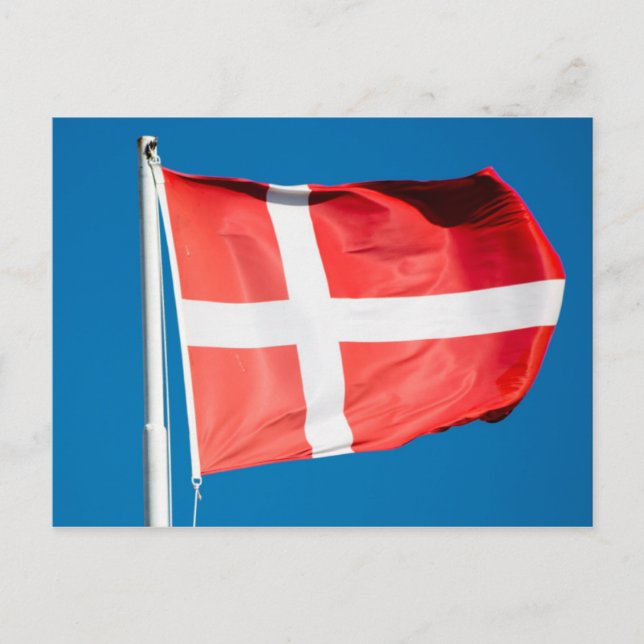 Denmark Flag Postcard (Front)
