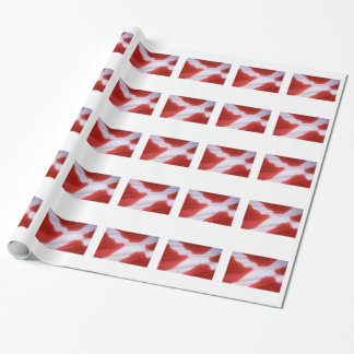 DENMARK FLAG WRAPPING PAPER
