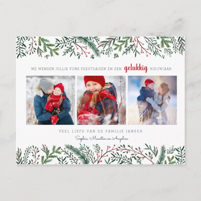 Dennentakjes | Briefkaart | Kerstkaart Fotokaart Postcard (Front)