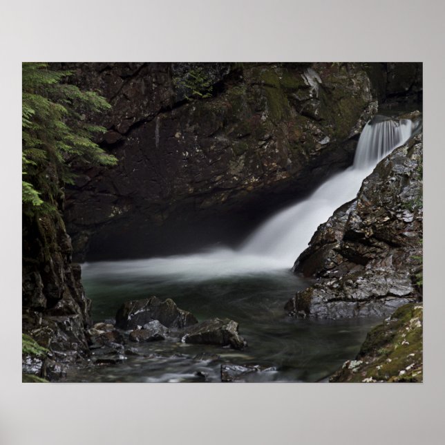 Denny Creek Poster (Front)