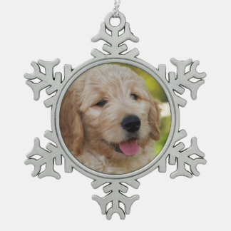 Denny Ornament
