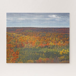 DENSE FOREST OF TREES WITH FALL COLORS JIGSAW PUZZLE