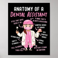 Dental Assistant Dental Anatomy Of A Dental