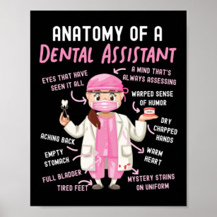 Dental Assistant Dental Anatomy Of A Dental Poster