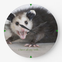dental office funny opossum photo wall clock