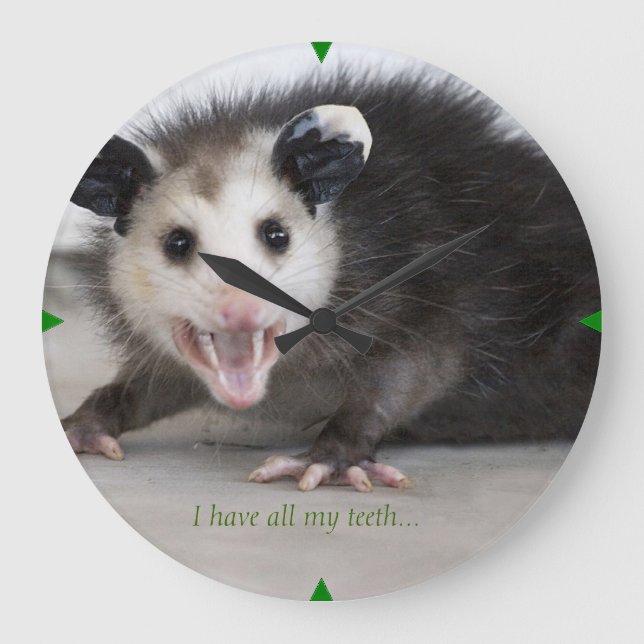 dental office funny opossum photo wall clock (Front)