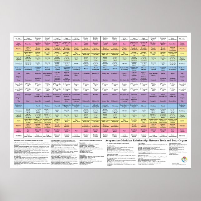 Dental Tooth Acupuncture Meridian Health Chart (Front)