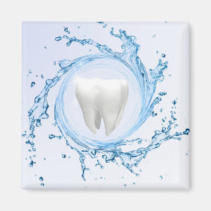 Dentist Dental Tooth Water Professional Magnet