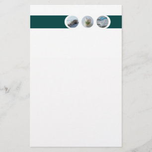 Dentist Stationery