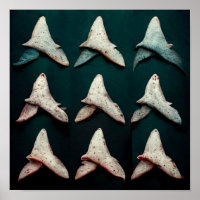 Dents de requin : Poster
