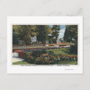 Denver, Colorado - View of Elitch Postcard