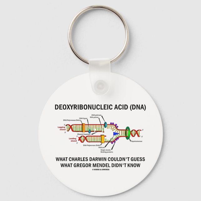 Deoxyribonucelic Acid (DNA) Mendel Darwin Keychain (Front)
