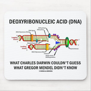 Deoxyribonucelic Acid (DNA) Mendel Darwin Mouse Pad