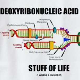 Deoxyribonucleic Acid (DNA) Stuff Of Life T-Shirt